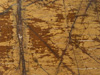 Parapet marmurowy: Rainforest Gold